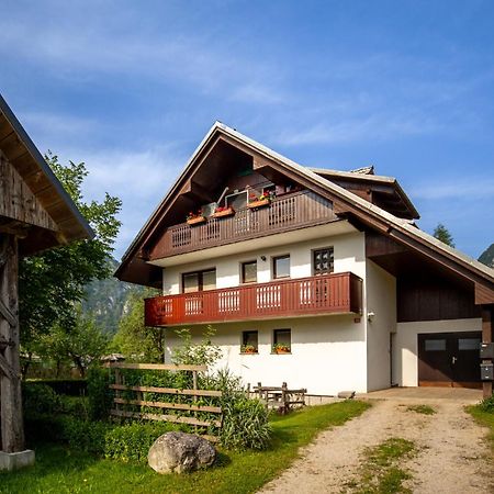 Apartma Ivano ボーヒニ エクステリア 写真